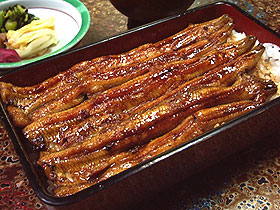 天然うなぎ